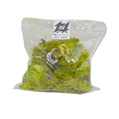 Lichene 100g Verde Chiaro per modellismo